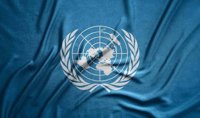 2361400729 featured image Blue flag with white United Nations emblem