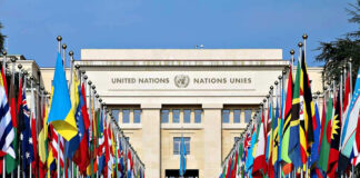 United Nations building with numerous national flags outside.