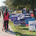Person walking with stroller past numerous election campaign signs.