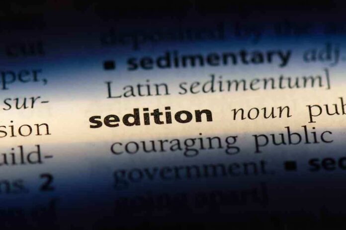 shutterstock_1155421135.jpg Close-up of a dictionary page showing the definition of sedition