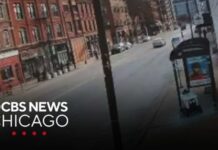 Video captures moment delivery robot crashes into CTA bus