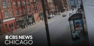 Video captures moment delivery robot crashes into CTA bus