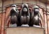 Three monkey sculptures representing see no evil, hear no evil, and speak no evil