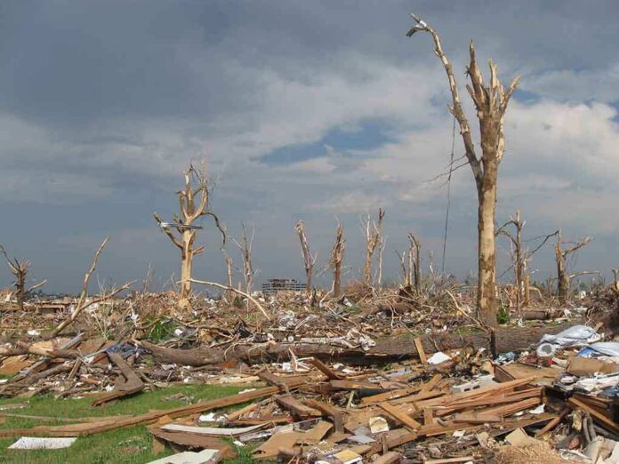 A landscape showing destruction from a natural disaster with fallen trees and debris scattered across the ground