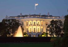 The White House illuminated at night with a fountain in the foreground