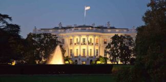 The White House illuminated at night with a fountain in the foreground