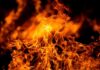 Worker TORCHES Warehouse–ASOUNDING VIDEO Close-up of vibrant flames against a dark background