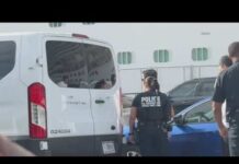 Federal agents seen detaining Disney cruise ship staffers