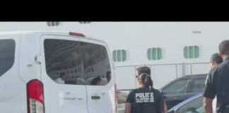 Federal agents seen detaining Disney cruise ship staffers