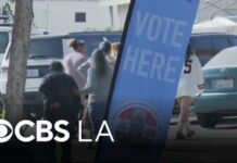 LA City Council proposal aims to let noncitizens vote in local ...