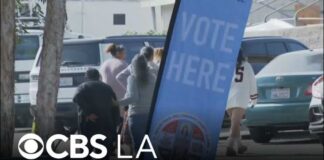 LA City Council proposal aims to let noncitizens vote in local ...