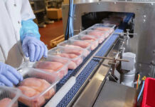 Fly Factory Frenzy: Billions At Stake Packaged chicken breasts on a factory conveyor belt.