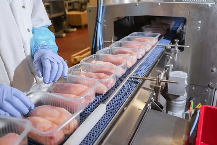 Packaged chicken breasts on a factory conveyor belt.