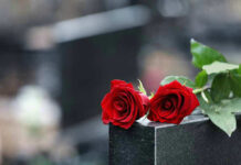 11 Dead After Orphanage Fire Shocks Algeria Two red roses on a gravestone.