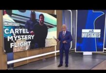 Los Chapitos’ Protector? Governor Implicated How a plane from nowhere took off landed in a Mexican cartel scandal