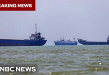 Ever Lovely Hit—Global Trade on Edge BREAKING: U.S. strikes Iran after attack on commercial vessel in Strait of Hormuz