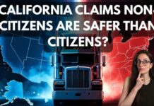 California Just Claimed Non-Citizen CDL Drivers Are Safer Than Americans