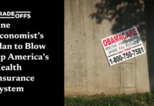 One Economist’s Plan to Blow Up America’s Health Insurance System