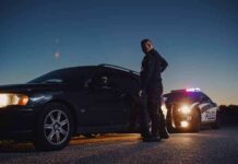 Police officer stands beside a stopped car at dusk