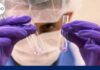 Breakthrough DNA technology identifies 9|11 victim's remains nearly 25-years later