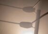 Wrestling World Stunned by Sudden Death Boxing ring corner ropes in hazy light
