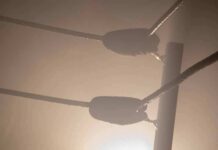 Boxing ring corner ropes in hazy light