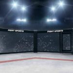 Empty MMA octagon under bright arena lights