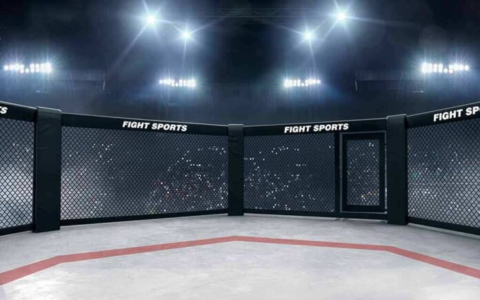 shutterstock_1435211339 Empty MMA octagon under bright arena lights