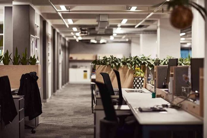 Open-plan office with empty desks and plants along partitions