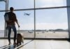 Traveler with suitcase watching plane through airport window