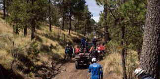 rescue team with ATVs on a forest trail