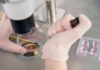Gloved hands manipulating samples under a microscope in a petri dish