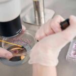 Mystery Death Inside Russia’s Plague Lab Gloved hands manipulating samples under a microscope in a petri dish